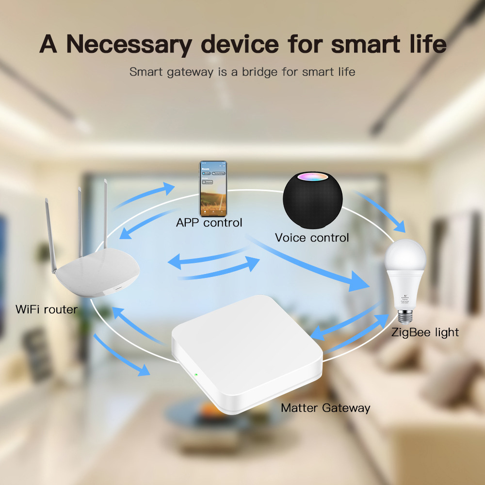 Matter Wired Gateway – Multi-P - Smart Home Hub Samsung ulasan dan harga