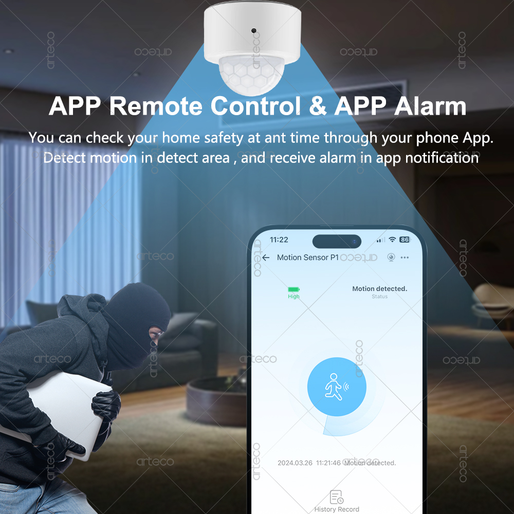 Ewelink Zigbee PIR Motion Sens - Smart Home Security ulasan dan harga