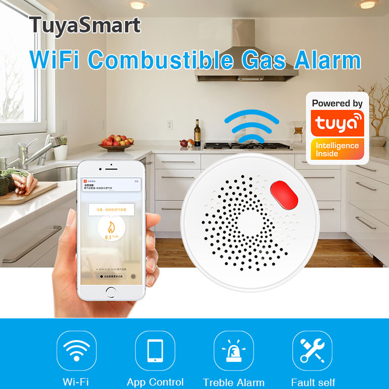 EU/US/UK Tuya Smart Home 2.4G  - Smart Home Web ulasan dan harga