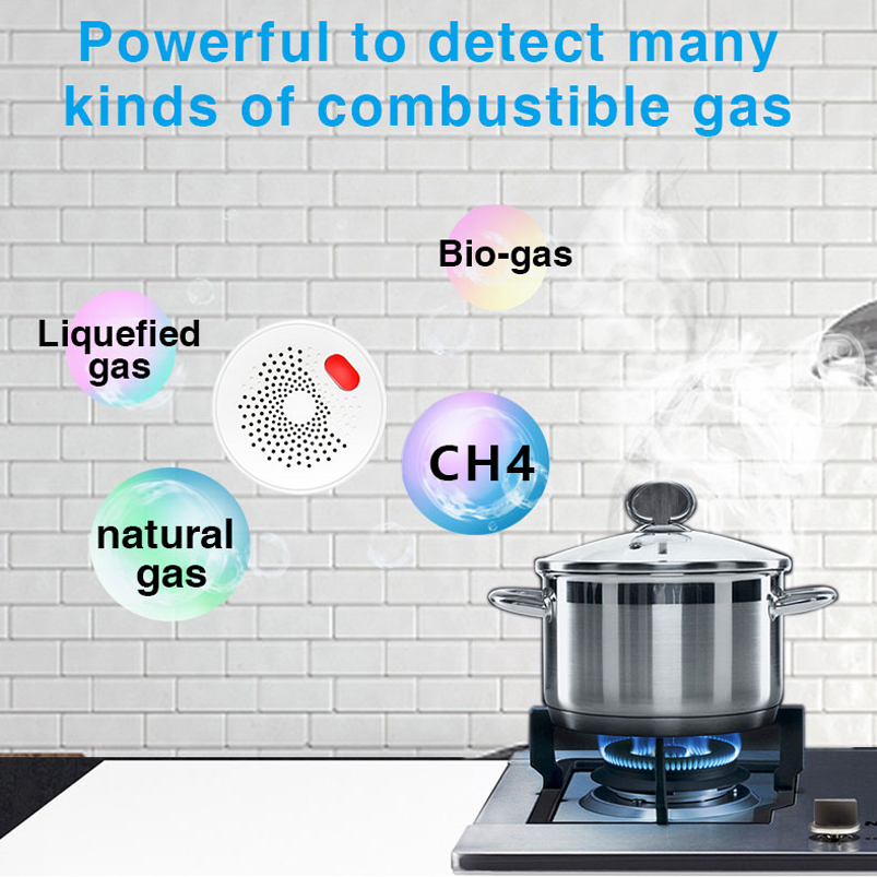 EU/US/UK Tuya Smart Home 2.4G  - Smart Home Web ulasan dan harga
