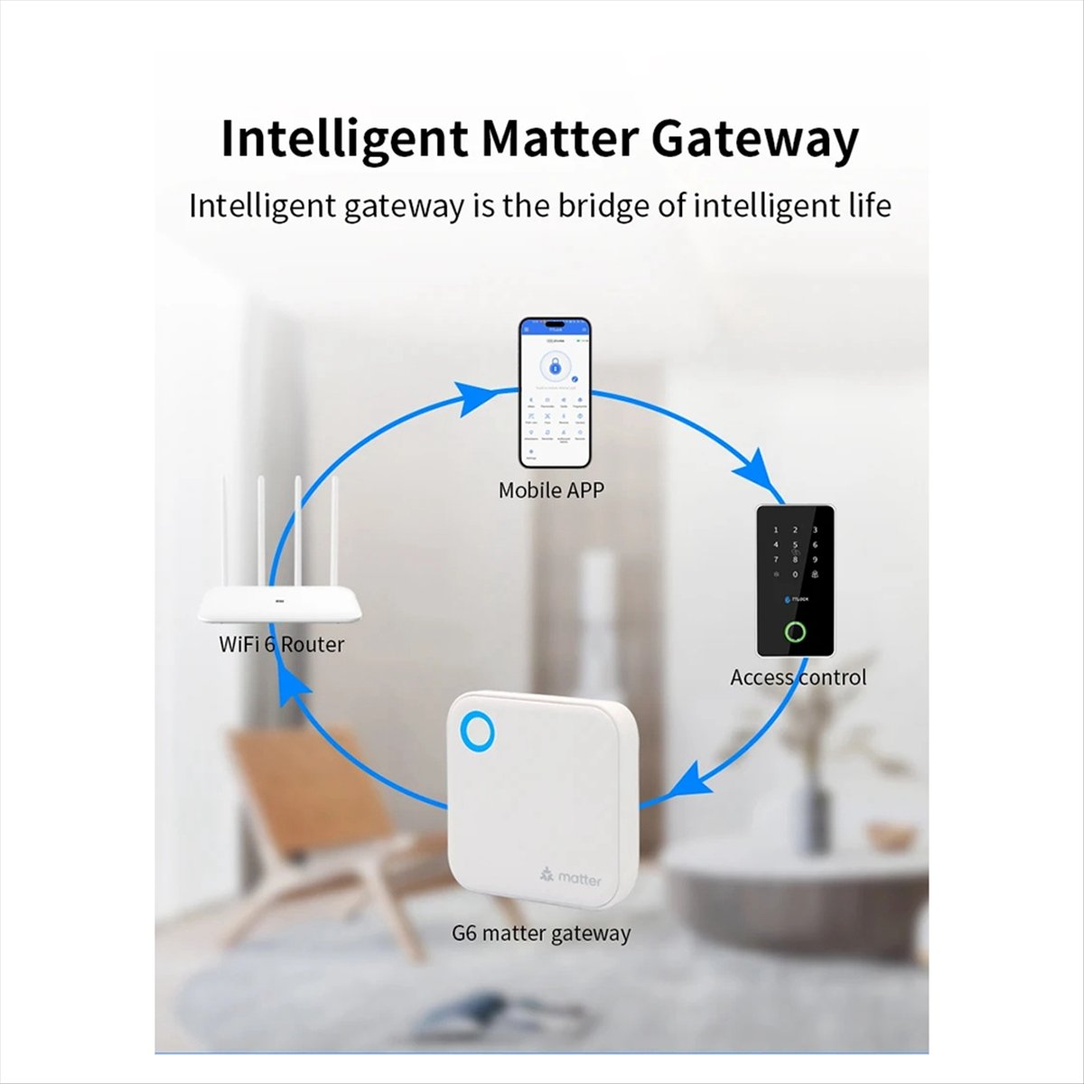 TTLOCK G6 Smart Matter Gateway - Smart Home Router ulasan dan harga