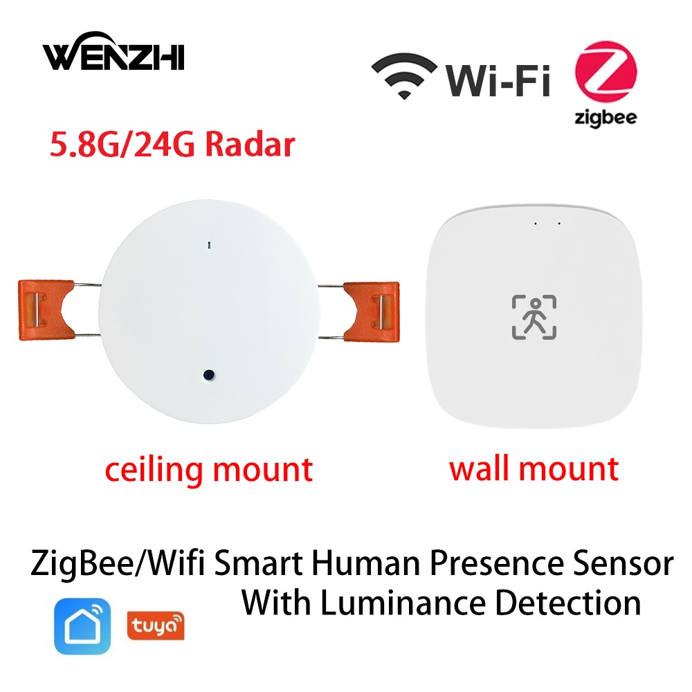ZigBee Wifi MmWave Human Prese - Smart Home Web ulasan dan harga