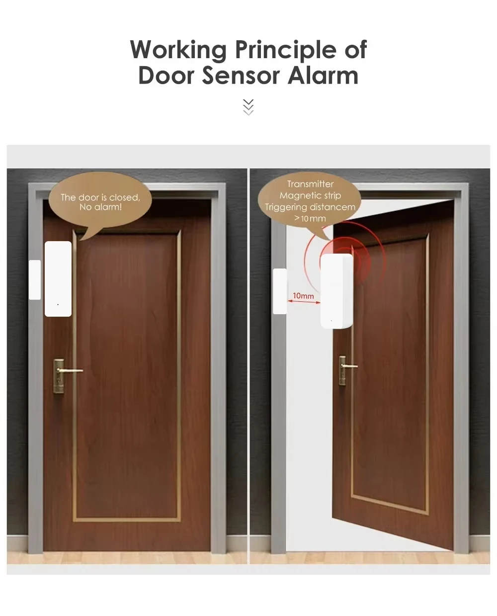 Tuya Zigbee/WiFi Magnetic Door - Door Window Sensor ulasan dan harga