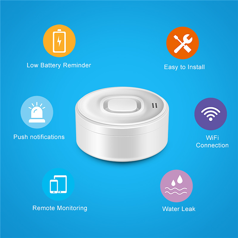 Smart WIFI Water Leak Detector - Wifi Water Leak Detector ulasan dan harga